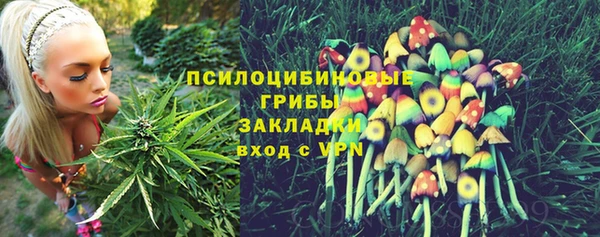 молекула духа Бородино