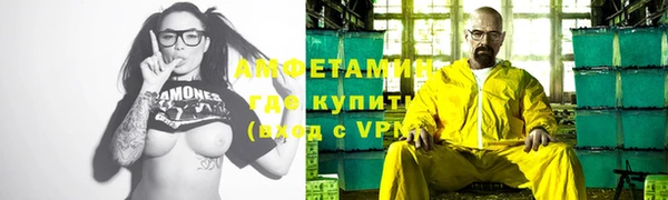 молекула духа Бородино