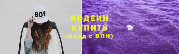 молекула духа Бородино