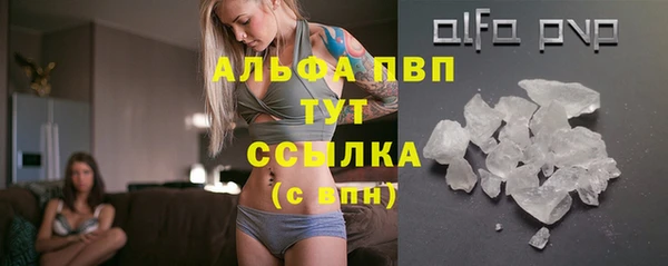 молекула духа Бородино