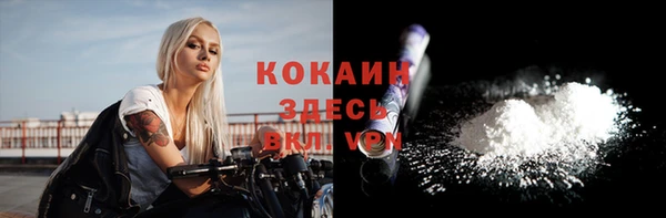 молекула духа Бородино