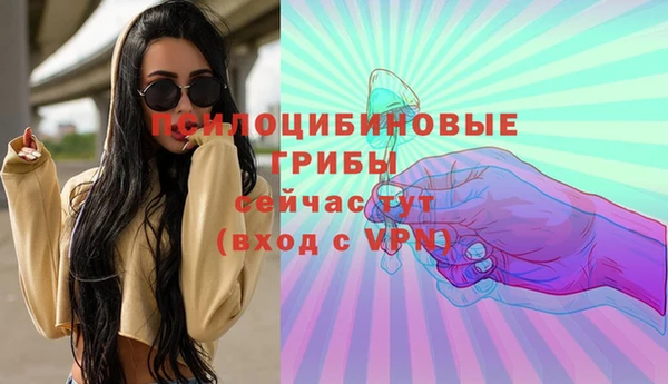 твердый Саяногорск