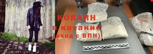 молекула духа Бородино