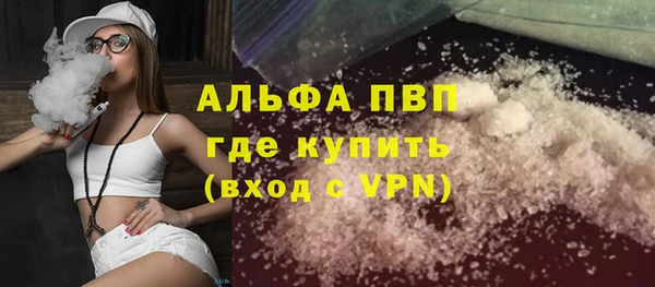 молекула духа Бородино