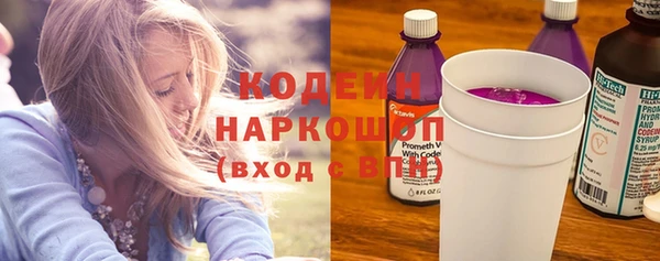 молекула духа Бородино